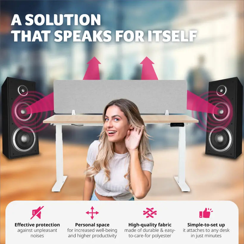 Desk Partition